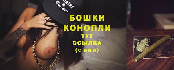 гидра Костерёво