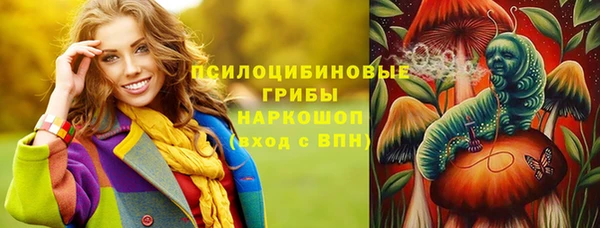 бошки Корсаков