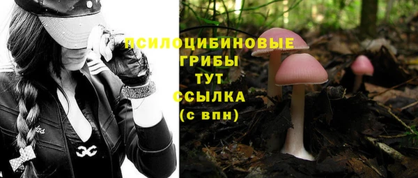 амф Коряжма