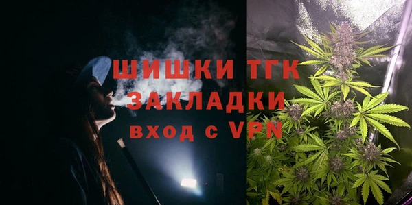 гидра Костерёво