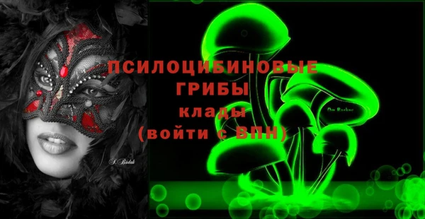 амф Коряжма