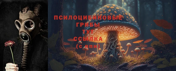 бошки Корсаков