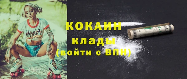 гидра Костерёво