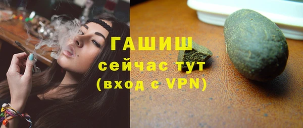 гидра Костерёво