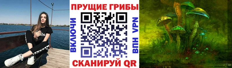 Псилоцибиновые грибы мицелий  Новочеркасск 