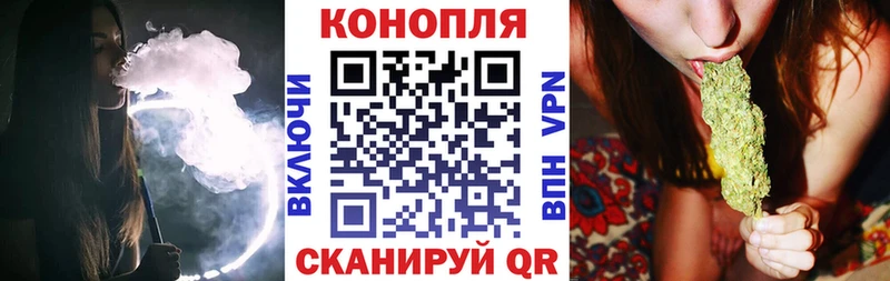 Каннабис гибрид Новочеркасск